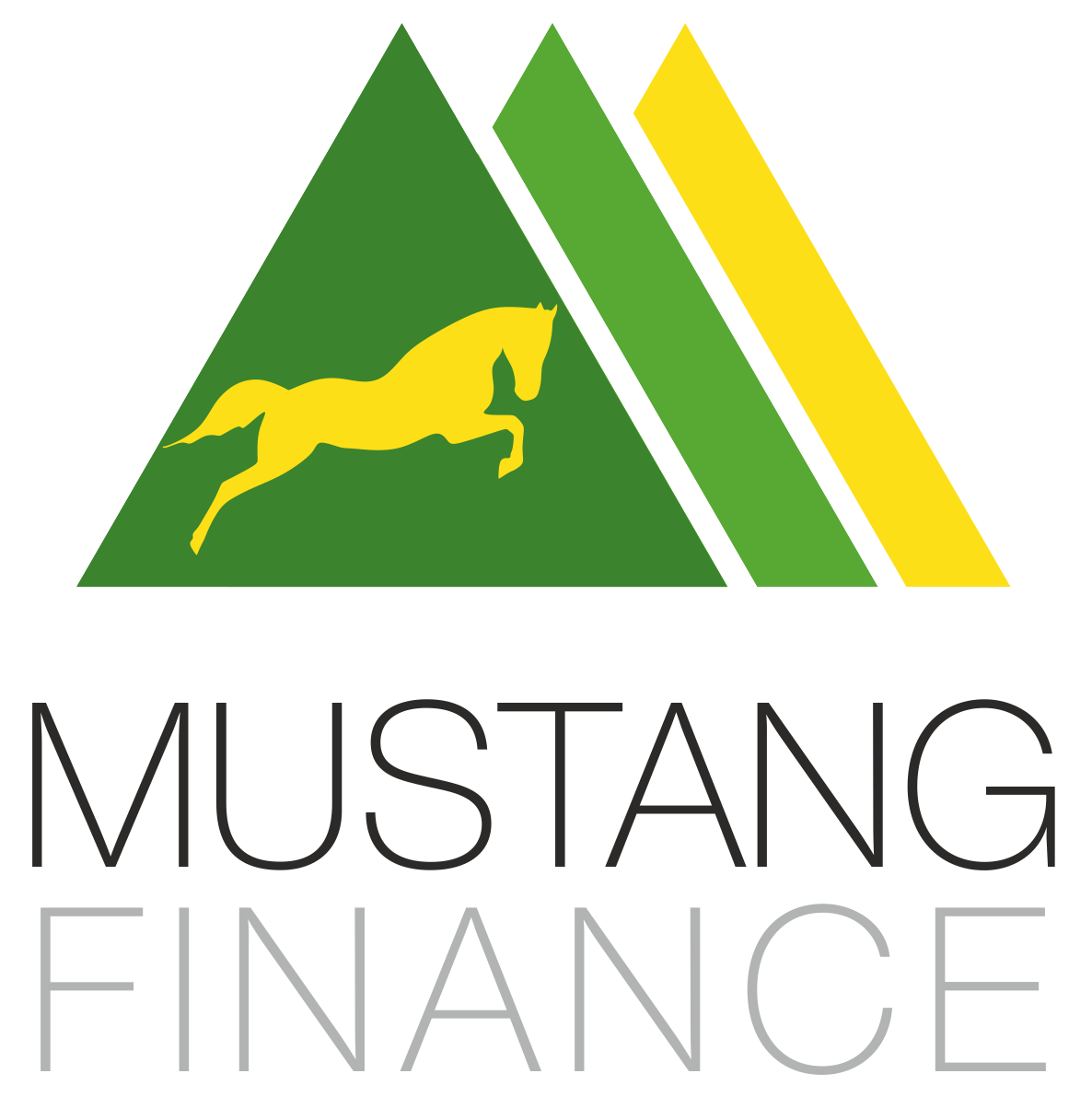LLC «Financial Company «Mustang Finance»